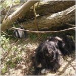 Notfall-Einsatz in Biedenkopf