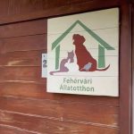 Wir nehmen euch mit in unser ungarisches Partnertierheim