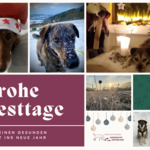 Schöne Feiertage und einen gesunden Start 2025