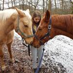 Heucops für unsere Tierschutzpferde