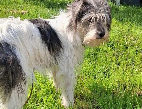 Tiffy ♀ 🇩🇪