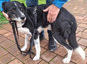 0c963359 8edf 4746 a30d 0b6493d0641d