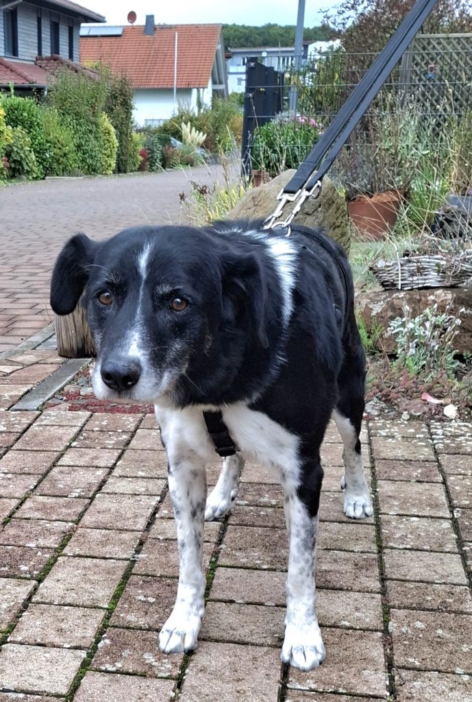 23be2c86 d95c 4c66 804f c5a9b4012924