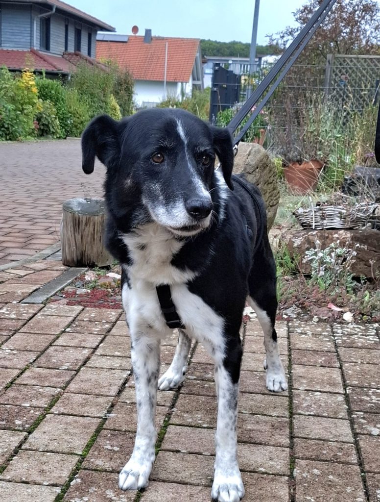 3334fa55 24f8 46fb 8e1e fca8553273c3