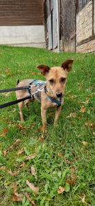 47df6624 8679 45c1 99fb d64b08f8f0d5