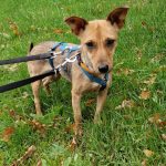 47df6624 8679 45c1 99fb d64b08f8f0d5