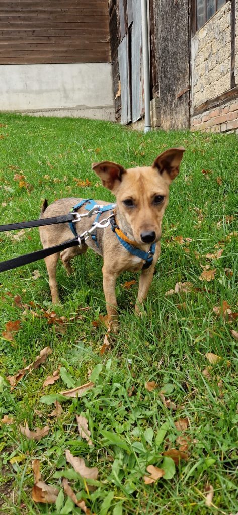 47df6624 8679 45c1 99fb d64b08f8f0d5