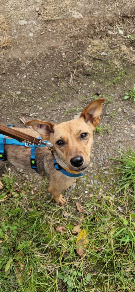 5cd396b9 d3e5 4dba 9b68 c0ca777a958f