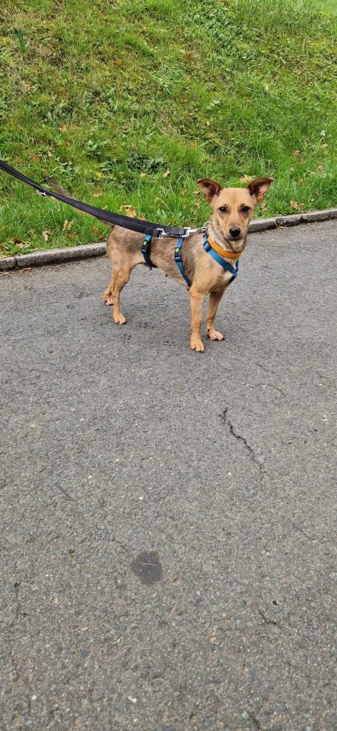 5ebbdb4e bfac 4f7b bfd0 8d583b7d4023