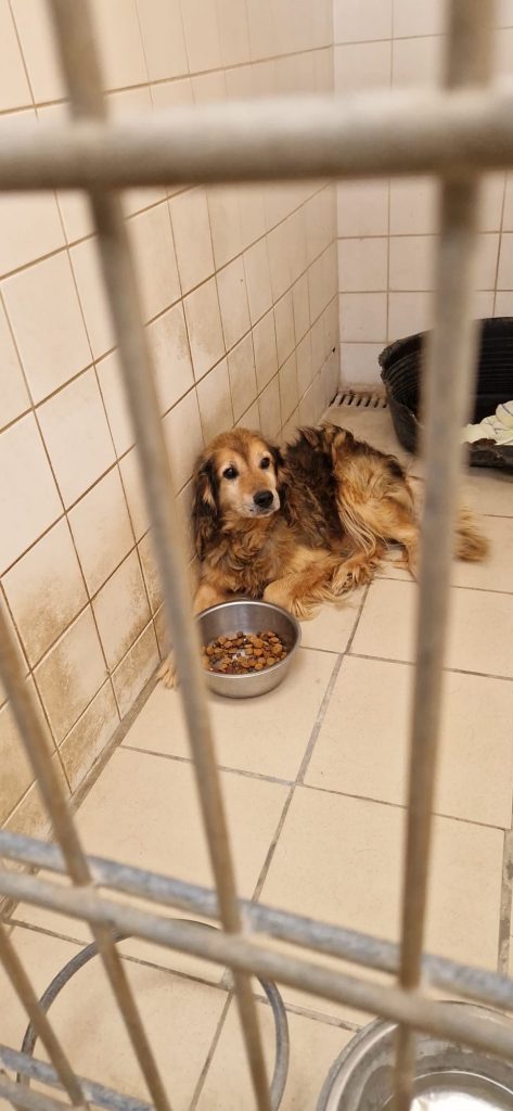 83c0891b 3383 4fc5 923b 84a0359a791d