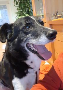 9abb0d9d 9e78 4278 aca9 be02aa95d51c