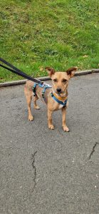 a8d37fb0 a72d 46cb a623 0805a86b96a4