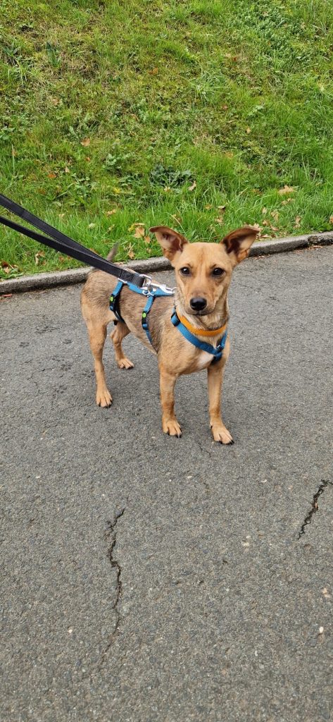 a8d37fb0 a72d 46cb a623 0805a86b96a4