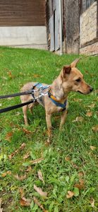 fbe04107 6074 4094 bcec c39a0559052c