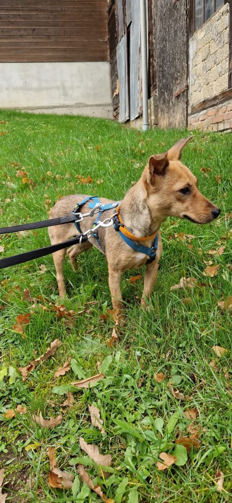 fbe04107 6074 4094 bcec c39a0559052c